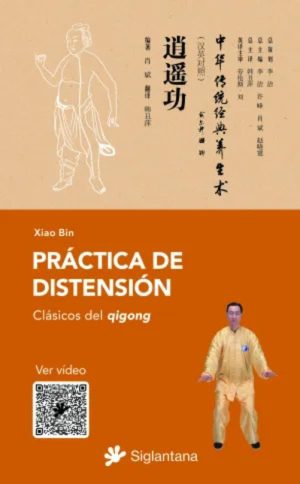 PRACTICA DE SITENSION