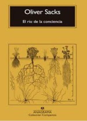 RIO DE LA CONCIENCIA, EL